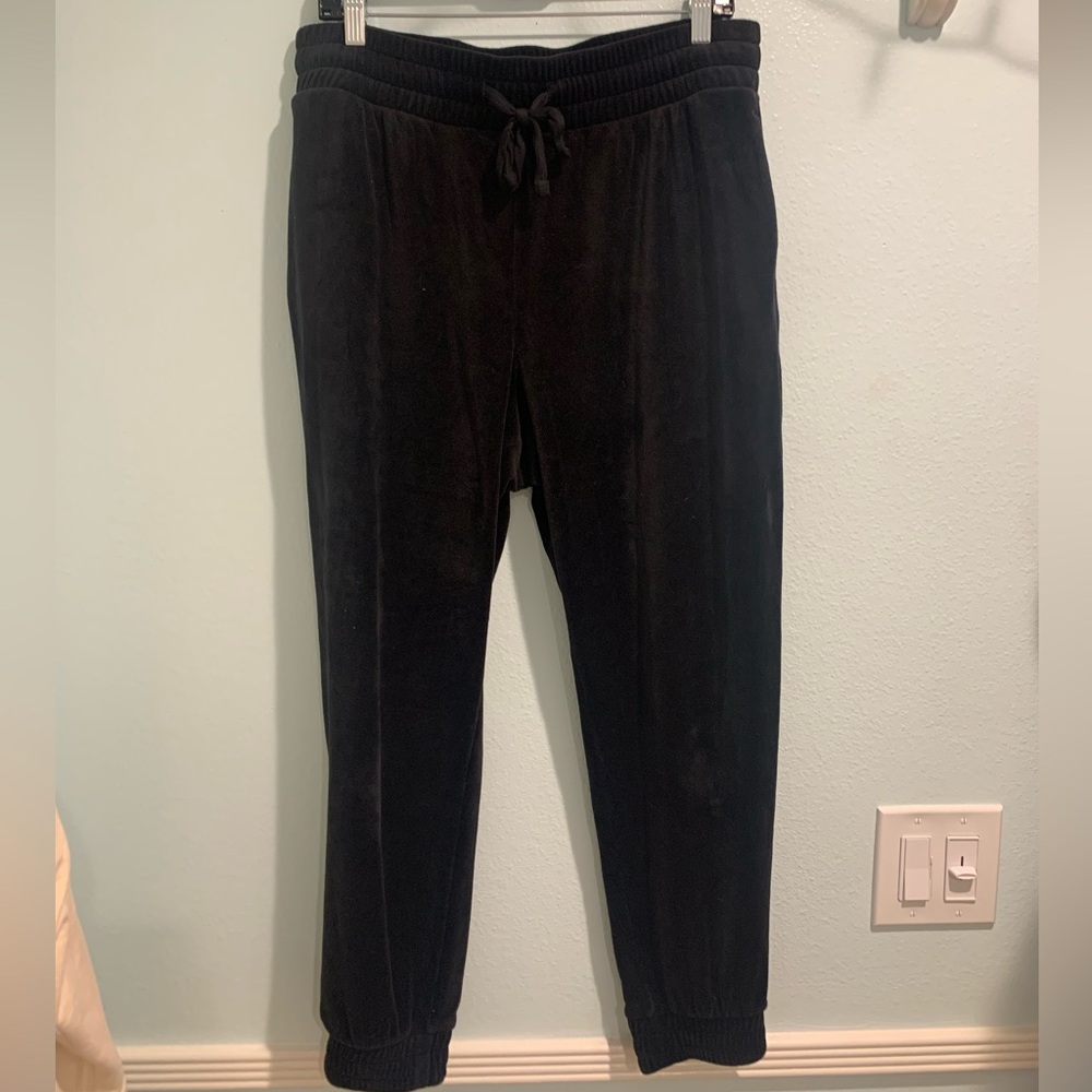 Express Velour Sweatpants